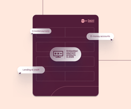 Embedded payment products for software providers in 2026